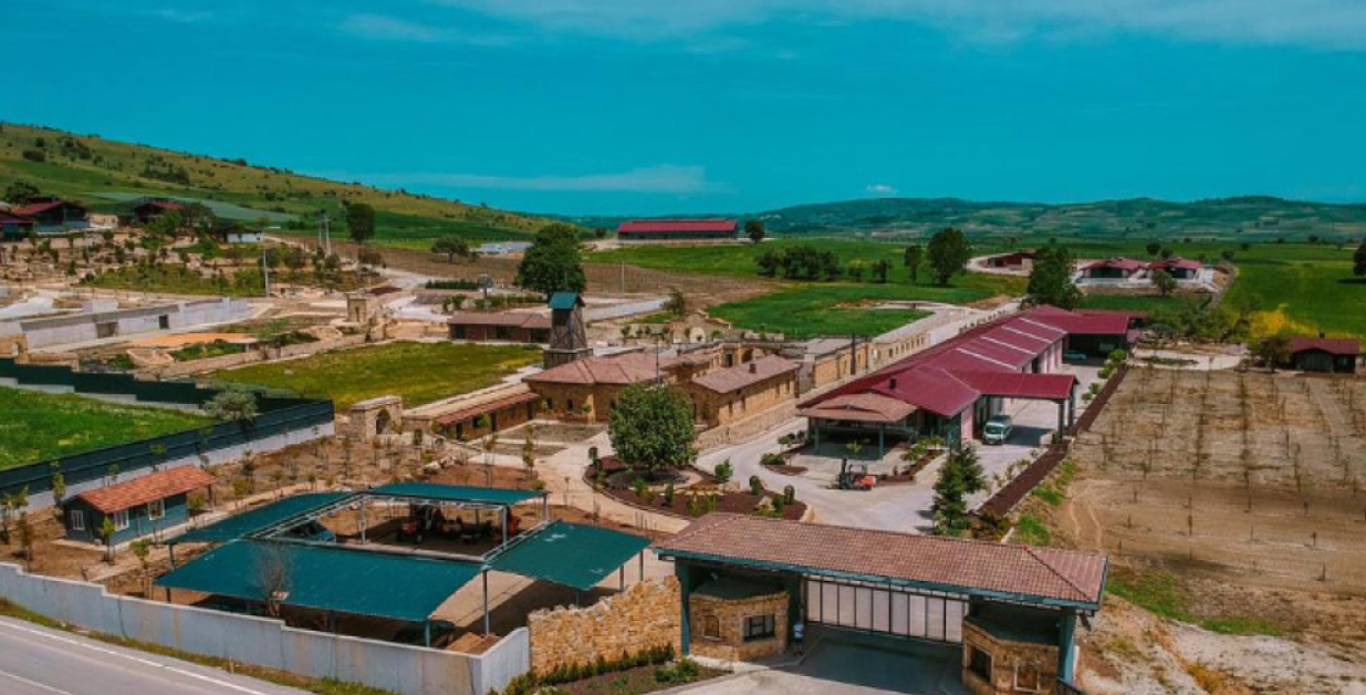 Yayla Grup | Highland Farm