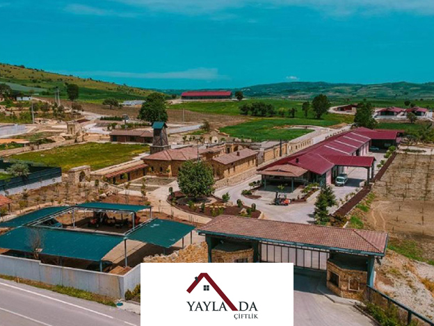 Yayla Grup | Contact